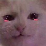 Aesthetic Cl0thing