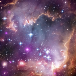 :•: *Comet's Haven!* •:•
