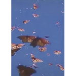 ヤナタの、