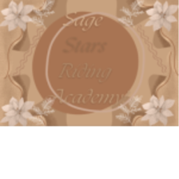 ~ Sage Stars Riding Academy’s Training Grounds ~