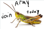GrassHopperArmy