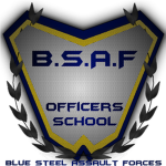 Blue Steel Assault Forces Officers Academy