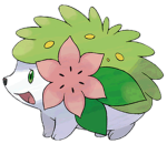 Team Shaymin