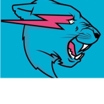Mrbeast.,