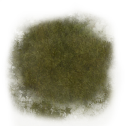 moss003