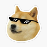 doge is hte best