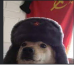 Soviet Dogessss