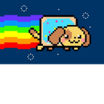 NyanDog