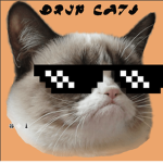 Drip Cat Group