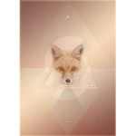 Golden Fox Clothing