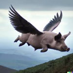 xjuancito2
