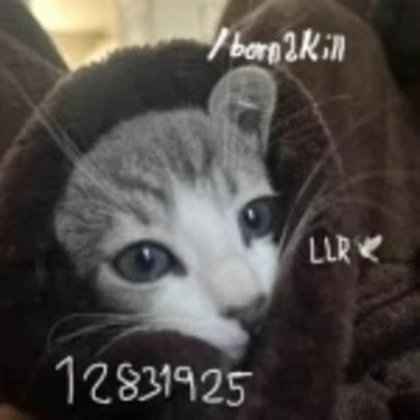 Brn2Kill Roblox group icon