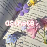 ʚ.:*.a s t h e t e.*:. ɞ