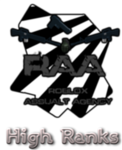 ROBLOX Assualt Agency (RAA) High Ranks