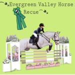 Evergreen Valley Horse Rescue
