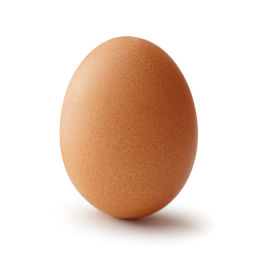 Egg