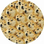 Doge_Army_1236