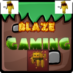 Blaze Gaming fan group
