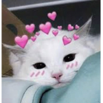 ViningzKawai