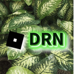 Dironik Group!