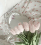 ,lace