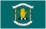 Royal Irish Medics