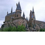 _Harry Potter Fans_
