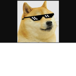 THE SHIBA ADORERS