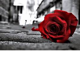 Sadness 🌹