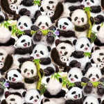 The Panda Teamleaders