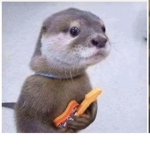 VIRTUAŁ