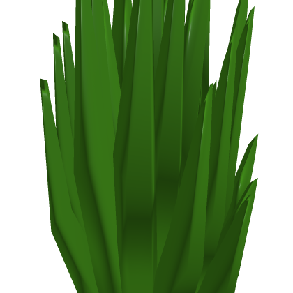 Grass