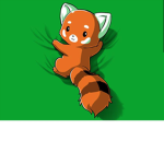 -Red Pandas Forever-