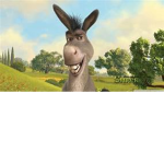 The Donkey Show