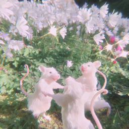 𝒷𝓎 𝓂𝒾𝓃𝑒