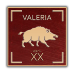 [S.P.Q.R] Legio XX Valeria Victrix