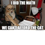 Meme game:)