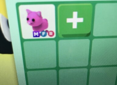 Adopt me pink cat's Place Number: 10