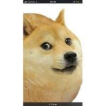 Doge_army_