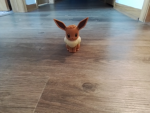 Eevee group forever:)