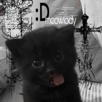 meowlody clothes Group Thumbnail