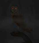 The Midnight owls revolution