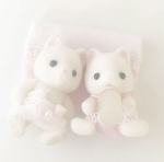 kittnpaws