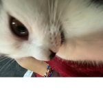 desispro