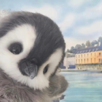 pinguu!