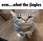 jingles.