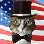 CATS REPUBLICAN!