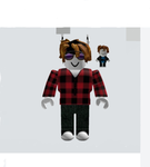 rohwjus Gang