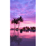 Aesthetic is my life and world :>