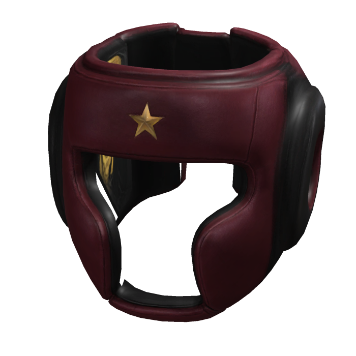 Boxing Headguard